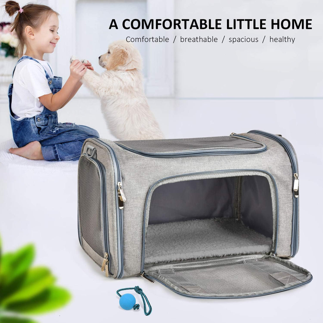 Best Travel & Comfort Pet Essentials Every Pet Owner Needs (2026 Guide)