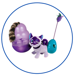 Pet Toys & Interactive Fun