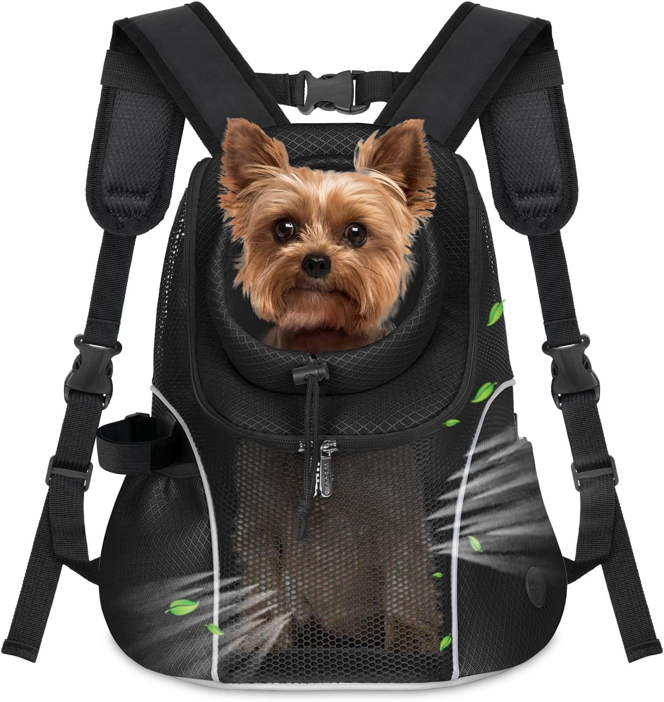 Pet Travel & Outdoors