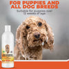 4-in-1 Calming Dog Shampoo – Cleans, Conditions, Detangles & Moisturizes with Pet-Friendly Formula