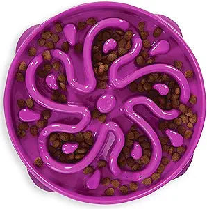 Slow Feeder Dog Bowl – Large Puzzle Maze for Medium & Large Dogs, Helps Prevent Bloat & Aid Digestion, Holds 4 Cups
