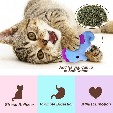 Catnip Plush Toys Set – 6-Piece Interactive Chew & Kick Toys for Indoor Cats and Kittens