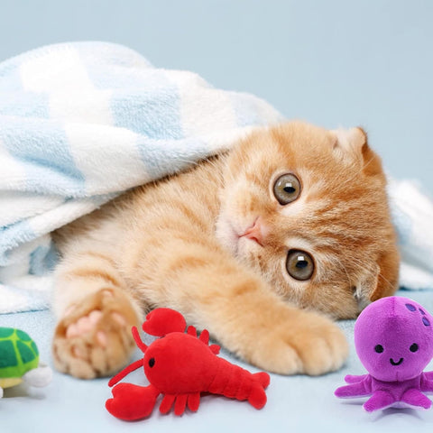 Catnip Plush Toys Set – 6-Piece Interactive Chew & Kick Toys for Indoor Cats and Kittens