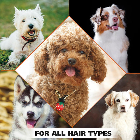 Pet Shampoo & Shower Gel – Gentle Deep Cleaning, Deodorizing Care for Dogs & Cats of All Coat Types