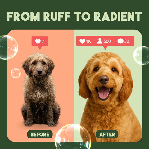 Organic Dog Shampoo & Conditioner – Deep Cleansing, Moisturizing Bath Care for Healthy Coat & Skin