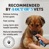 Pet Itch Relief Spray – Natural Hot Spot Treatment for Dogs & Cats, Soothes Dry Skin & Irritation