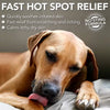 Pet Itch Relief Spray – Natural Hot Spot Treatment for Dogs & Cats, Soothes Dry Skin & Irritation