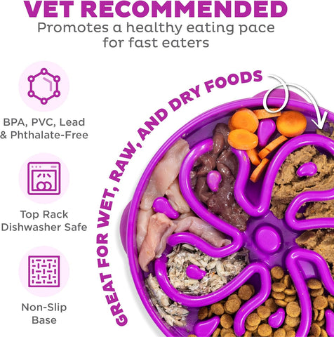 Slow Feeder Dog Bowl – Large Puzzle Maze for Medium & Large Dogs, Helps Prevent Bloat & Aid Digestion, Holds 4 Cups