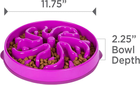 Slow Feeder Dog Bowl – Large Puzzle Maze for Medium & Large Dogs, Helps Prevent Bloat & Aid Digestion, Holds 4 Cups