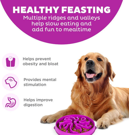 Slow Feeder Dog Bowl – Large Puzzle Maze for Medium & Large Dogs, Helps Prevent Bloat & Aid Digestion, Holds 4 Cups