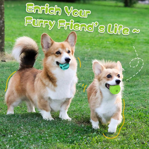 Dog Puzzle Toy 2-Pack – Interactive Treat Dispensing Toys, Durable Puppy Chew Balls for Teething, Teeth Cleaning & Slow Feeding