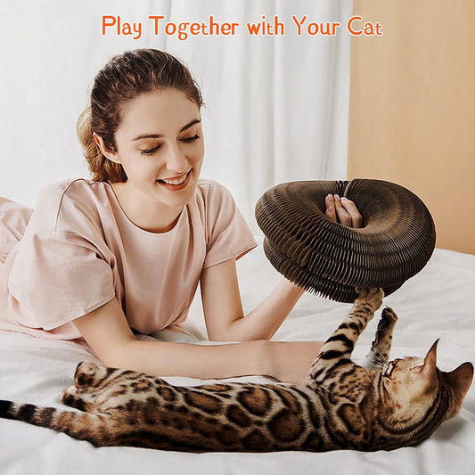 CusieryMax Cat Ball Adventure The Ultimate Interactive Mental & Physical Exercise for Indoor Cats
