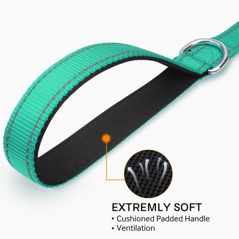 Joytale Dog Leash, 6 FT Double-Sided Reflective, Padded Handle Nylon Heavy Duty Leashes for Medium & Large Dogs Walking, Teal, 6FT