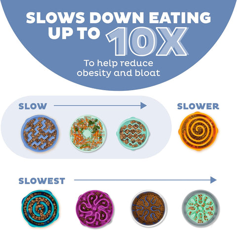 Slow Feeder Dog Bowl – Medium Puzzle Maze for Small & Medium Dogs, Helps Prevent Bloat & Aid Digestion, Holds 2 Cups