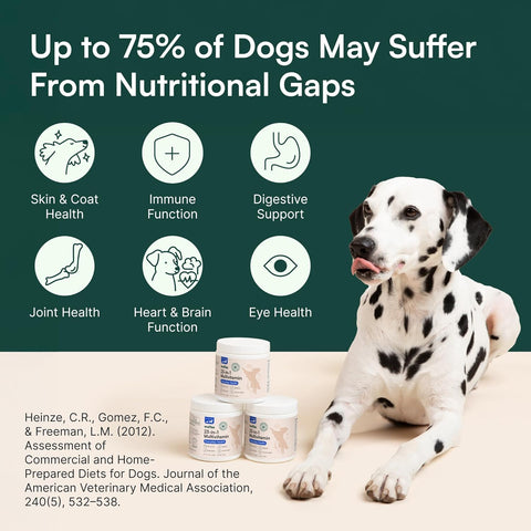 Dog Multivitamin Supplement – 23-in-1 for Hip & Joint, Skin & Coat, Immune Support with Omega-3, Iron, Zinc & Vitamin C