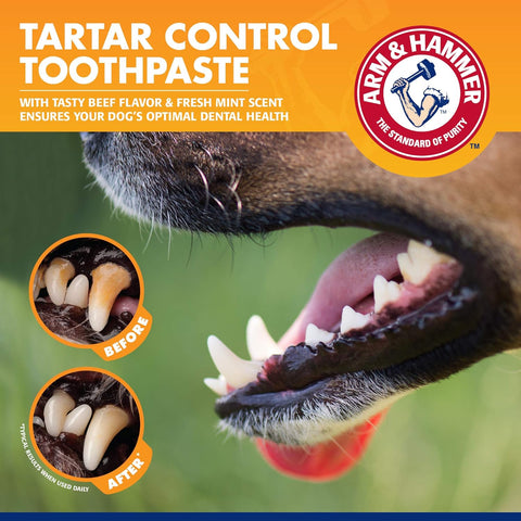 Dog Tartar Control Kit – Includes Toothpaste, Toothbrush & Fingerbrush, Reduces Plaque & Tartar, Safe for Dogs